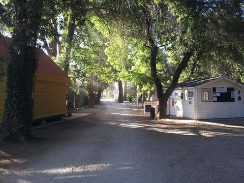 Camping Paradis Bellerive - Camping Gard - Image N°23