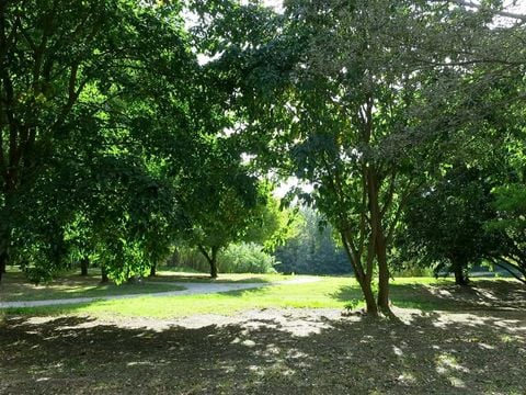 Camping Paradis Bellerive - Camping Gard - Image N°14