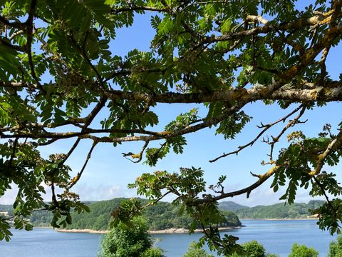 Les Rives du Lac du Laouzas - Camping Tarn - Image N°12