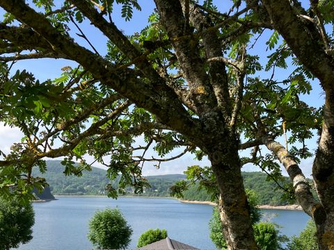 Les Rives du Lac du Laouzas - Camping Tarn - Image N°10