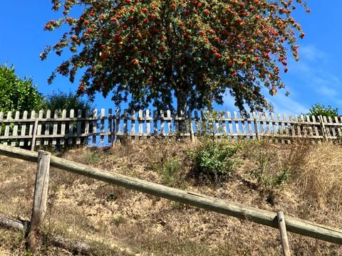 Les Rives du Lac du Laouzas - Camping Tarn - Image N°11