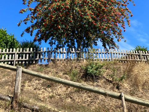 Les Rives du Lac du Laouzas - Camping Tarn - Image N°12