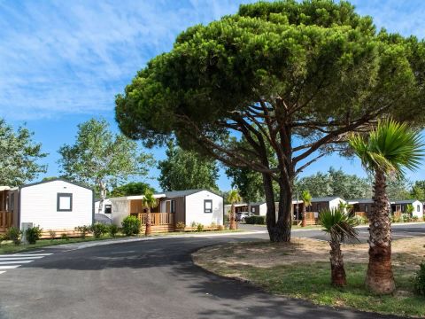 Camping Campéole La Côte des Roses - Camping Aude - Image N°30