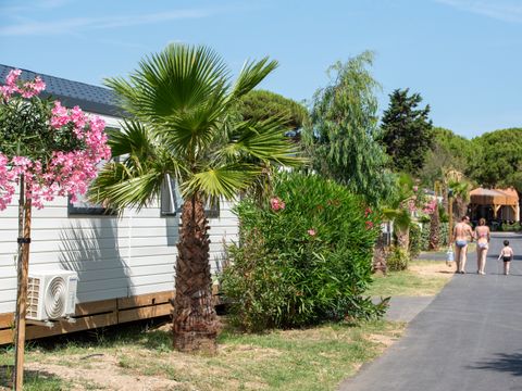 Camping Club La Côte des Roses 4* - MS VACANCES - Camping Aude - Image N°35