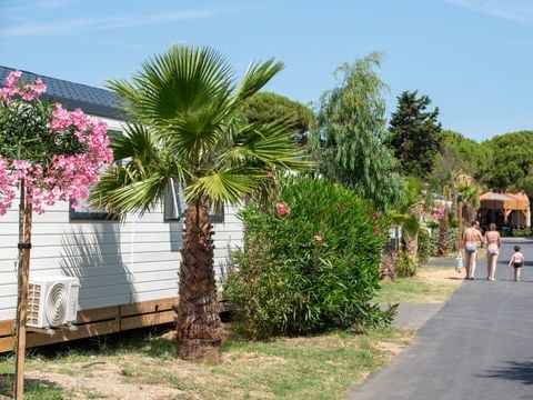 Camping Club La Côte des Roses 4* - MS VACANCES - Camping Aude - Image N°41