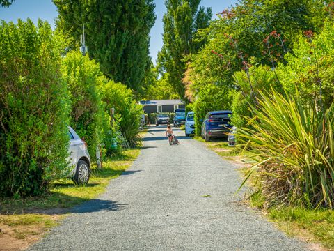 Camping Oleron Loisirs   - Camping Charente-Maritime - Image N°23