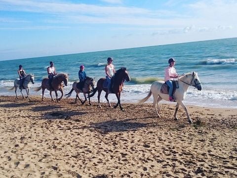Camping Le Bois Soleil - Camping Vendée - Image N°38