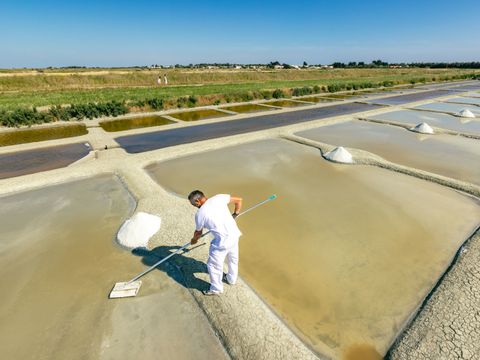 Camping Le Bois Soleil - Camping Vendée - Image N°63