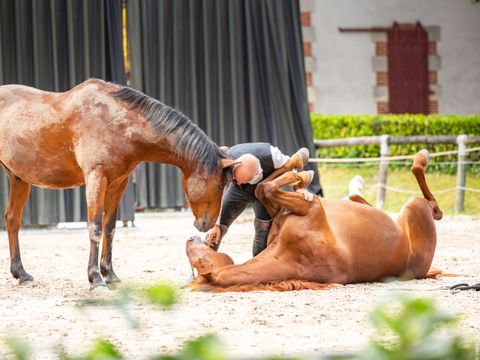 Camping Le Bois Soleil - Camping Vendée - Image N°42