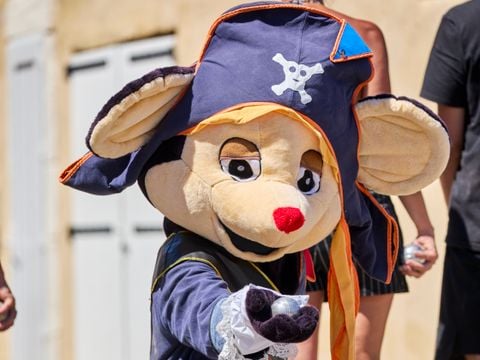 Camping Le Bois Soleil - Camping Vendée - Image N°87