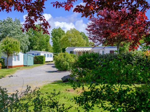 Camping Le Bois Soleil - Camping Vendée - Image N°66