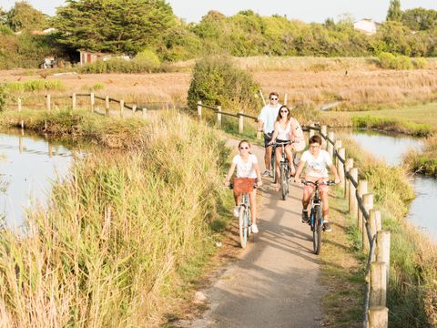 Camping Le Bois Soleil - Camping Vendée - Image N°41