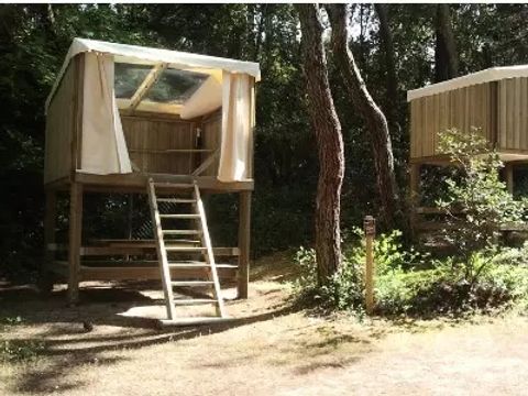 Hébergement 2 personnes - Ecolodge Campétoile 1 Pièces 2 Personnes Sans Sanitaire
