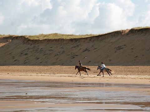 Camping La Gachère - Camping Vendée - Image N°19
