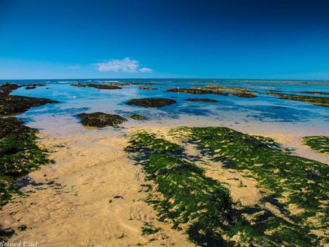 Camping La Gachère - Camping Vendée - Image N°15