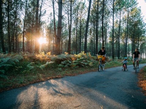Camping Landae - Camping Landes - Image N°16