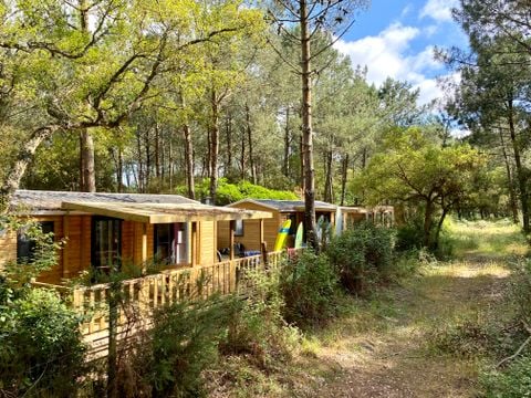 LODGE 12 personnes - Cottage Floresta "Vue forêt" 10-12p - 5 chambres - TV - Climatisation