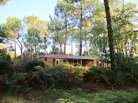 LODGE 6 personnes -  Cottage Loggia "Vue forêt" 6p - 3 chambres - TV - Climatisation