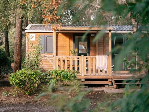 Camping Landae - Camping Landes - Image N°14