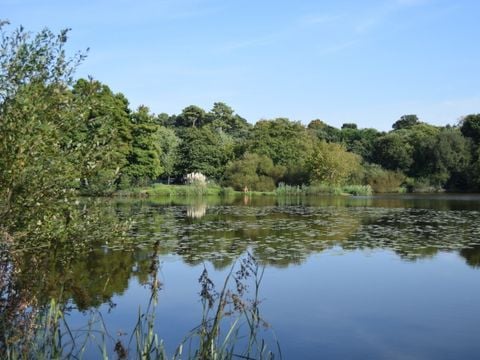 Camping Landae - Camping Landes - Image N°2