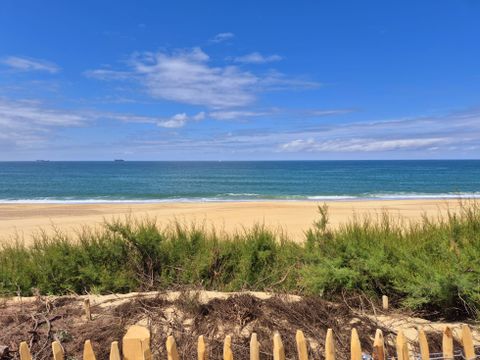 Camping Landae - Camping Landes - Image N°10