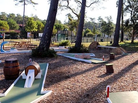 Camping Landae - Camping Landes - Image N°5