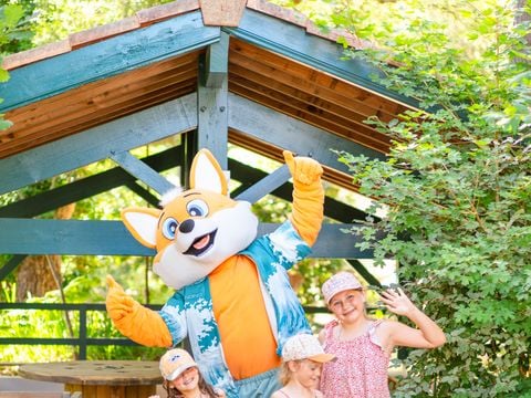 Camping Landae - Camping Landes - Image N°4