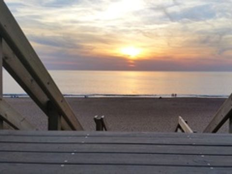 Camping Landae - Camping Landes - Image N°15