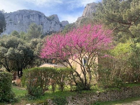 Camping La Vallée Heureuse Pausado - Camping Bouches-du-Rhône - Image N°14