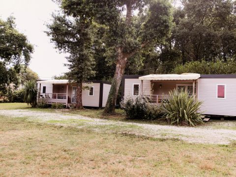 Mobilhome 4 personnes - Camélia 3 Pièces 4 Personnes + TV
