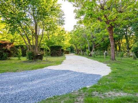 Emplacement - Emplacement: voiture + tente/caravane ou camping-car