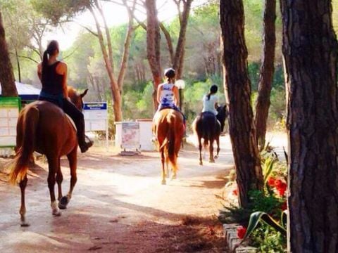 Camping Bella Sardinia - Camping Oristano - Image N°39