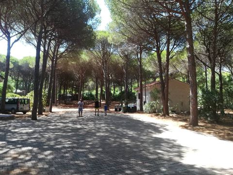 Camping Bella Sardinia - Camping Oristano - Image N°48