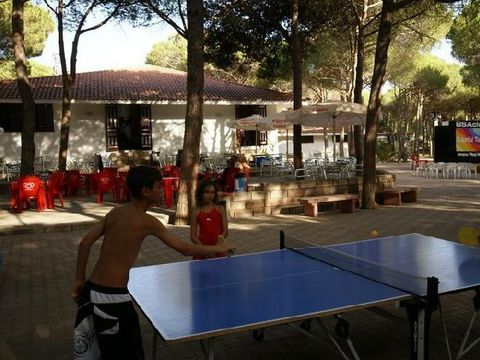 Camping Bella Sardinia - Camping Oristano - Image N°36