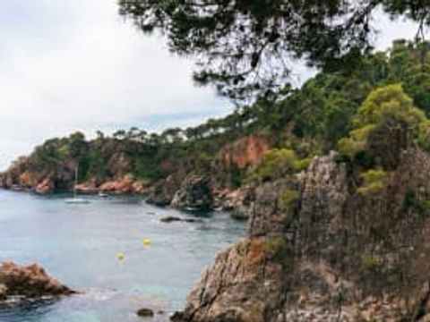 Camping Calella de Palafrugell - Camping Gérone - Image N°20