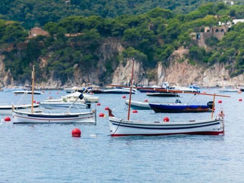 Camping Calella de Palafrugell - Camping Gérone - Image N°12