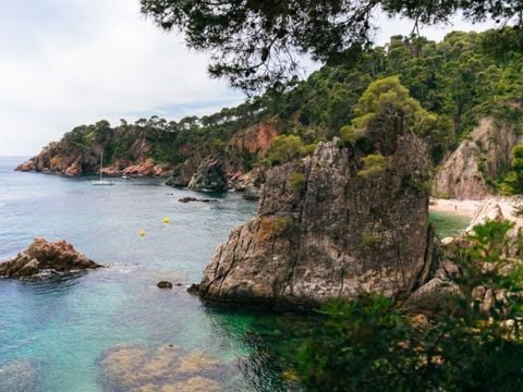 Camping Calella de Palafrugell - Camping Gérone - Image N°9