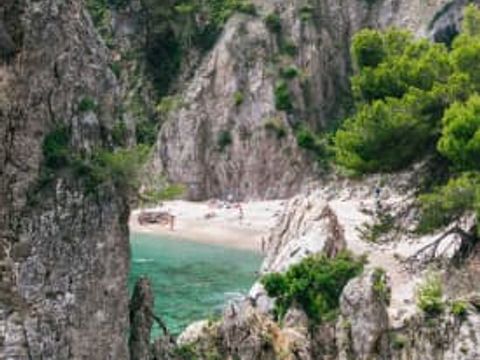 Camping Calella de Palafrugell - Camping Gérone - Image N°18