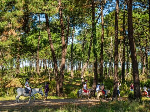 Camping Atlantic Club Montalivet - Camping Gironde - Image N°66