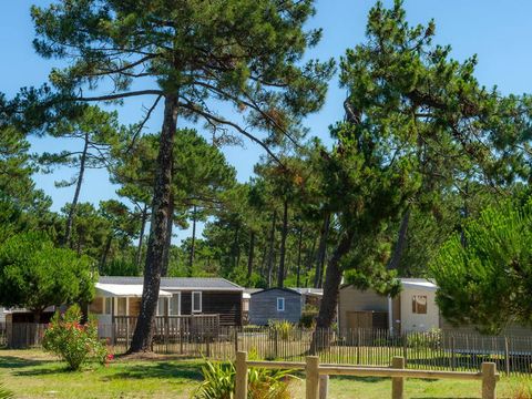 Camping Atlantic Club Montalivet - Camping Gironde - Image N°40