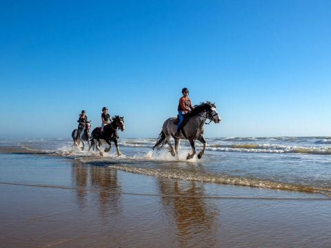 Camping Atlantic Club Montalivet - Camping Gironde