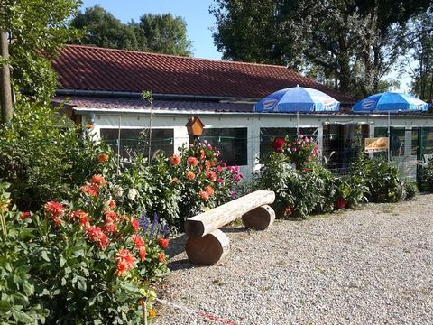 Camping Paradis des Dombes - Camping Ain - Image N°10