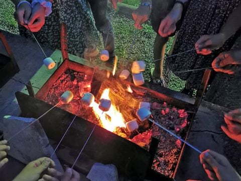Camping Le Moulin Des Effres **** - Camping Deux-Sèvres