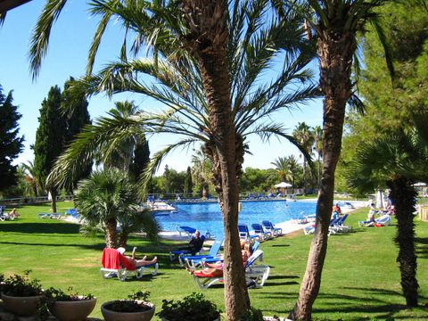 BUNGALOW TOILÉ 5 personnes - Jungle