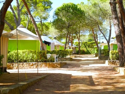 TENTE 4 personnes - Trigano