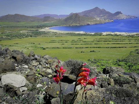 Camping Los Escullos - Camping Almería - Image N°37