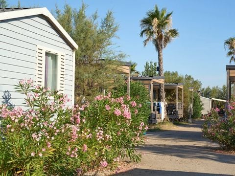 Camping Le Palavas  - Camping Hérault - Image N°25