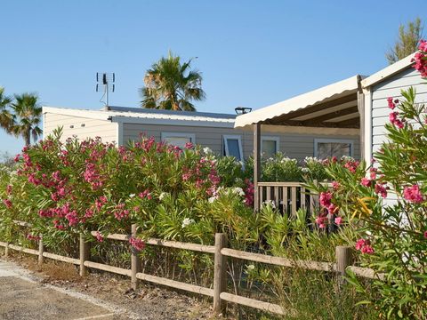 Camping Le Palavas  - Camping Hérault - Image N°16