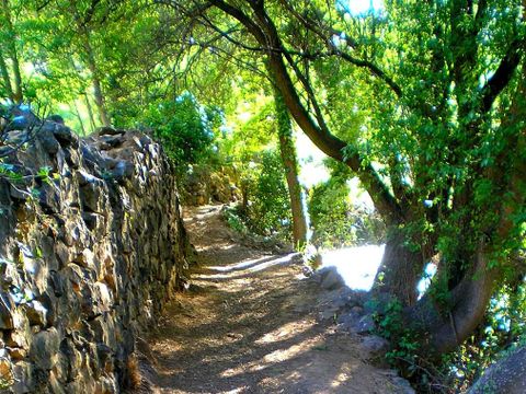 Camping Lago Resort - Camping Saragosse - Image N°22