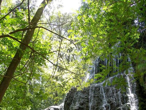 Camping Lago Resort - Camping Saragosse - Image N°30